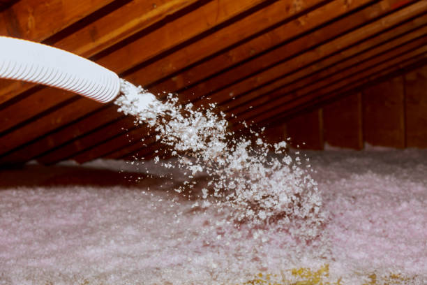 Best Residential Insulation in Omao, HI